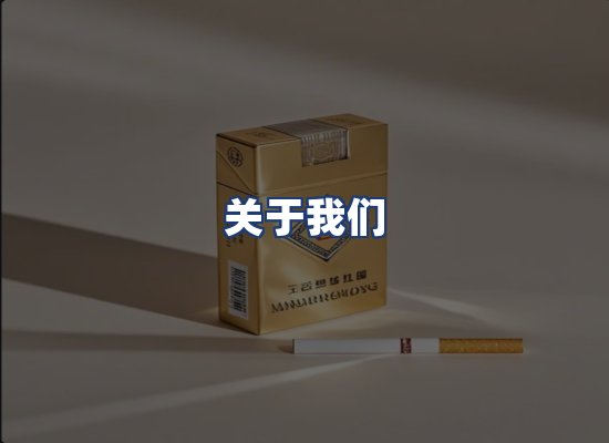 关于我们